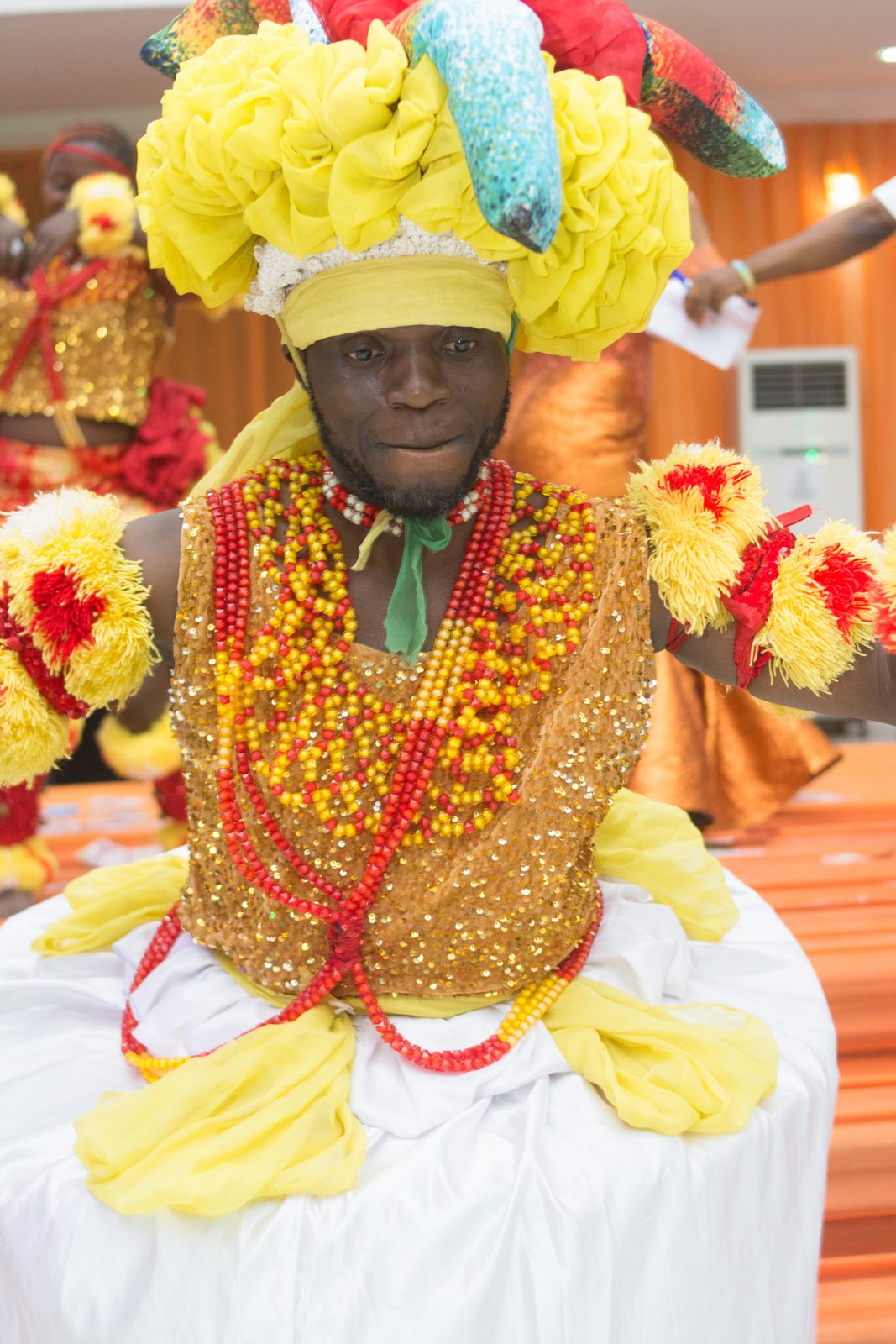 A cultural dancer in a bright feathered masquerade costume